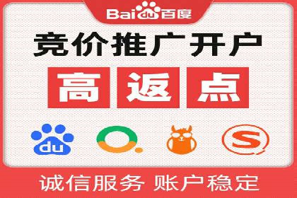 探索专业SEM托管的奥秘：从案例看效果